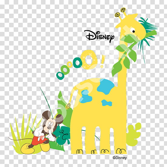 Green Grass, Giraffe, Wall Decal, Sticker, Flower, Character, Animal, Leaf transparent background PNG clipart