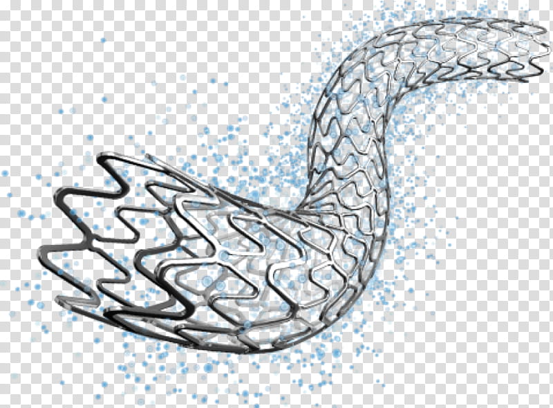 Bird Line Drawing, Drugeluting Stent, Stenting, Coronary Stent, Coronary Artery Disease, Coronary Arteries, Bioresorbable Stent, Heart transparent background PNG clipart