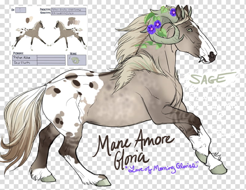 Mane Amore Gloria, Sage Reference transparent background PNG clipart