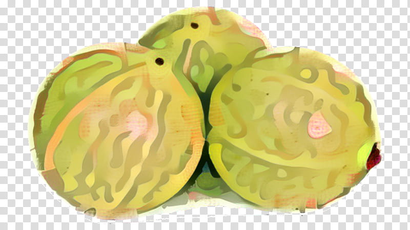 Vegetable, Cherimoya, Cabbage, Food, Plant, Wild Cabbage, Fruit transparent background PNG clipart