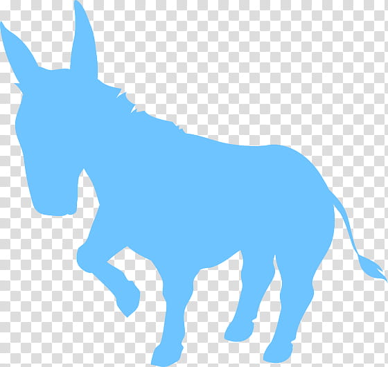 Donkey, Mule, Mustang, Democratic Party, Dog, Halter, Breed, Snout transparent background PNG clipart