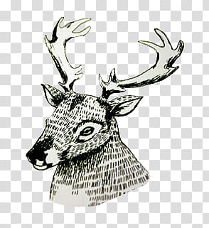 , black and white deer head transparent background PNG clipart