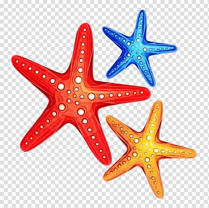 Star Drawing, Watercolor, Paint, Wet Ink, Starfish, Cartoon, Sea, Royaltyfree transparent background PNG clipart