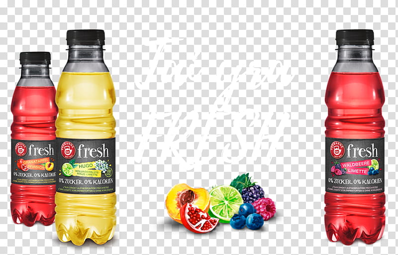 Forest, Fizzy Drinks, Plastic Bottle, Water, Enhanced Water, Teekanne, Lime, Berries transparent background PNG clipart