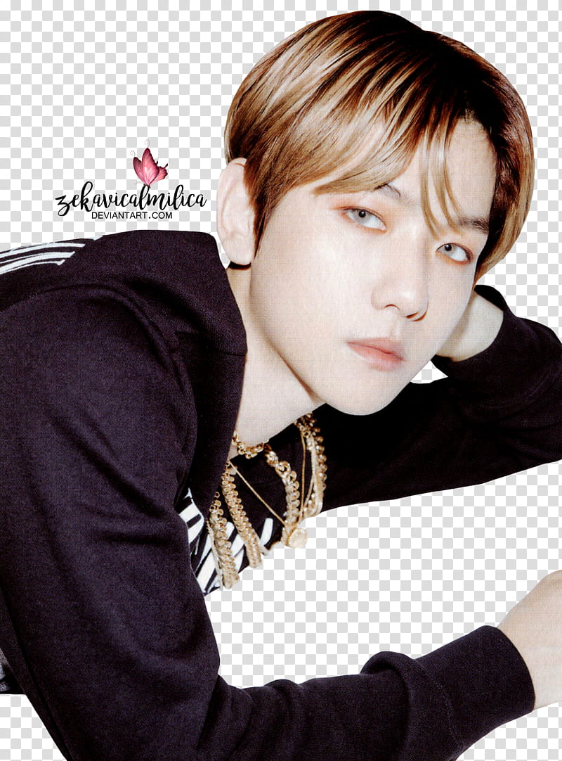 EXO Baekhyun Don t Mess Up My Tempo transparent background PNG clipart