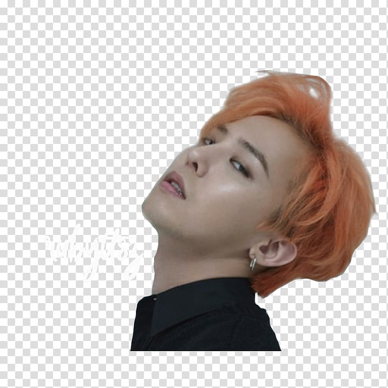 Gdragon transparent background PNG clipart