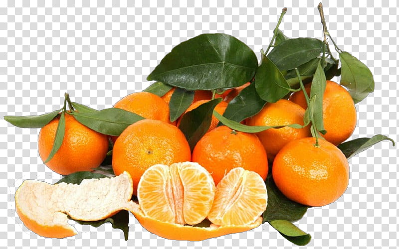 citrus tangerine mandarin orange fruit clementine, Plant, Food, Rangpur, Natural Foods, Tangelo transparent background PNG clipart