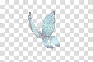 , teal butterfly transparent background PNG clipart