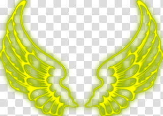 Alas de angel transparent background PNG clipart