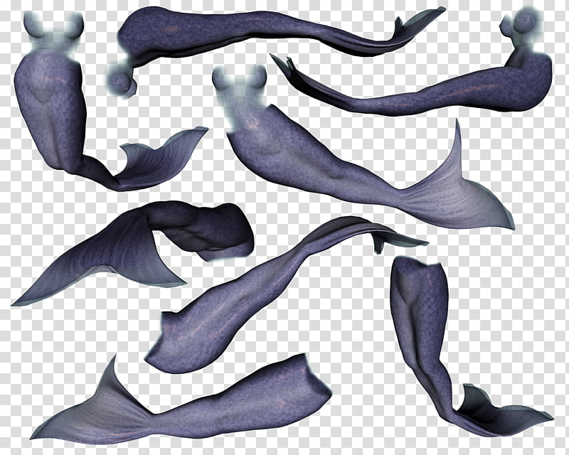 Mertails Dolphin, gray mermaid tail decors transparent background PNG clipart