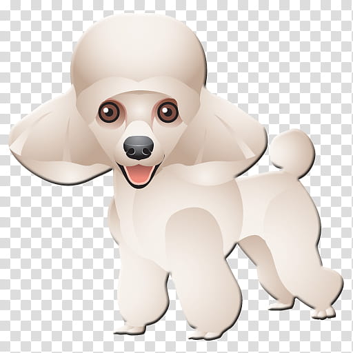 Bamboo, Poodle, Maltese Dog, Toy Poodle, Miniature Poodle, Puppy, Cartoon, Pet transparent background PNG clipart