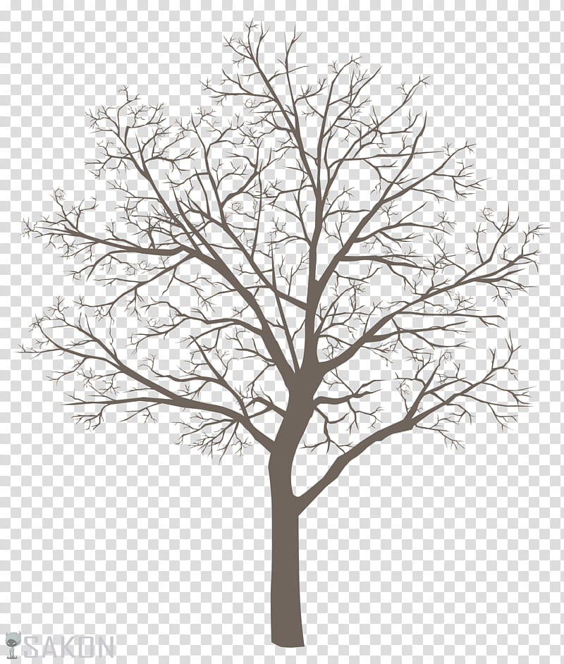 Basic Tree Meme, bare tree illustration transparent background PNG clipart