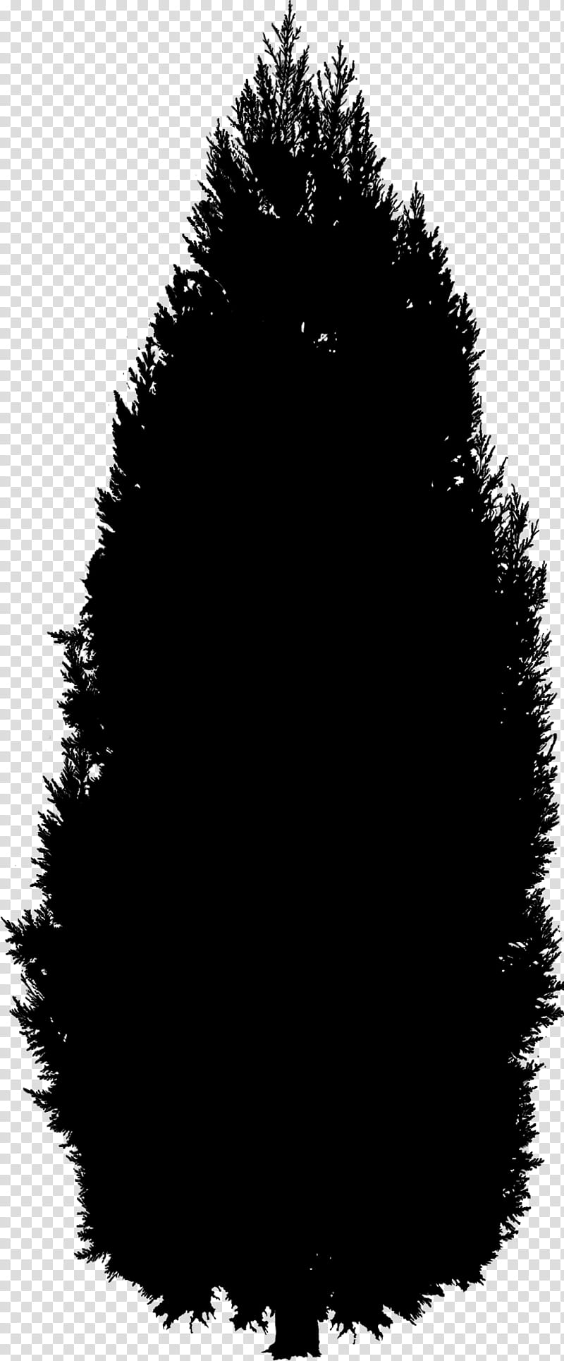 Family Tree Silhouette, Fur, Black M, Woody Plant, Pine Family, Fir, Conifer, Blackandwhite transparent background PNG clipart