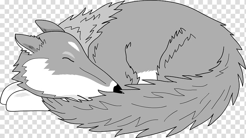 Wolf Drawing, Line Art, Sleep, Silhouette transparent background PNG clipart