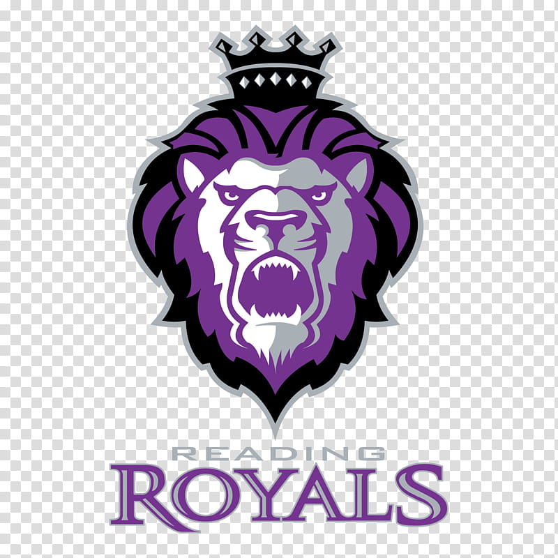 Ice, Santander Arena, Reading Royals, Wheeling Nailers, Brampton Beast, ECHL, Philadelphia Flyers, Worcester Railers transparent background PNG clipart