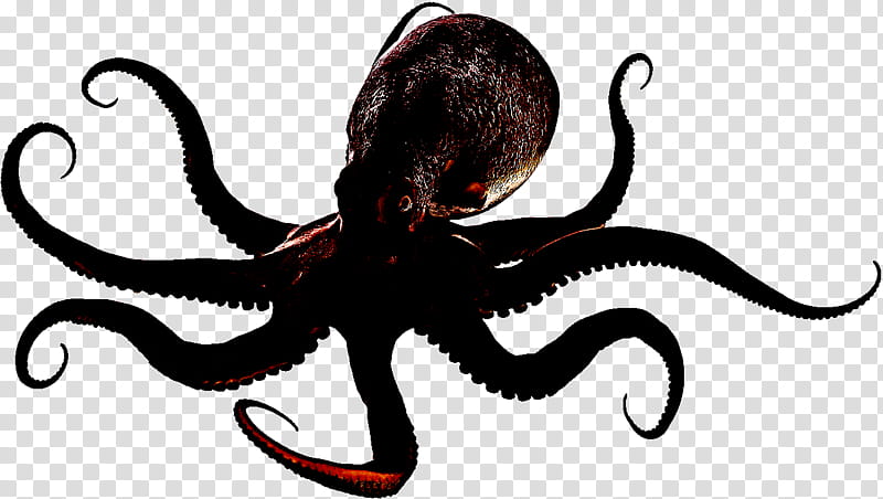 octopus giant pacific octopus octopus marine invertebrates animal figure, Fictional Character transparent background PNG clipart