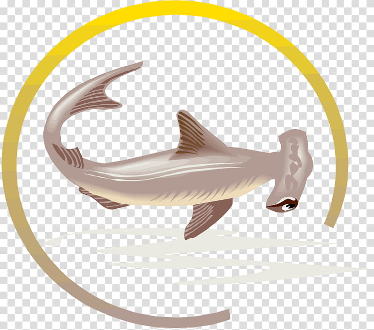 Great White Shark, Hammerhead Shark, Tiger Shark, Cartilaginous Fishes, Smalleye Hammerhead, Sand Tiger Shark, Blue Shark, Animal transparent background PNG clipart