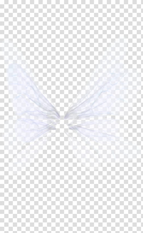 White Wing, white feathers transparent background PNG clipart