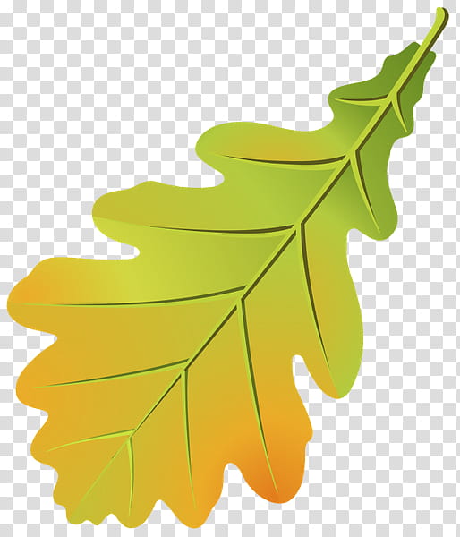 Oak Tree Leaf, Eichenlaub, Autumn, Branch, Autumn Leaf Color, Plant Stem, Northern Red Oak, Leaflet transparent background PNG clipart