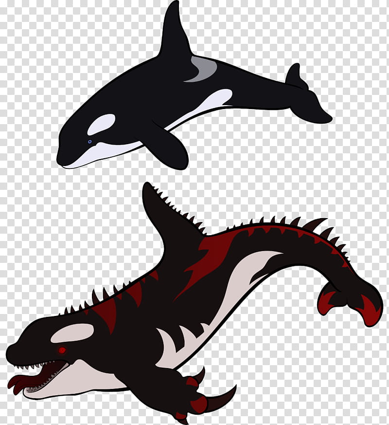 Shark Fin, Killer Whale, Dolphin, Whales, Cetaceans, Whale Shark, Bull Shark, Blacktip Shark transparent background PNG clipart