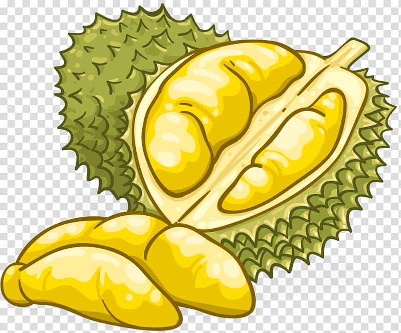 fruit durian starfruit plant starfruit natural foods, Yellow, Artocarpus transparent background PNG clipart