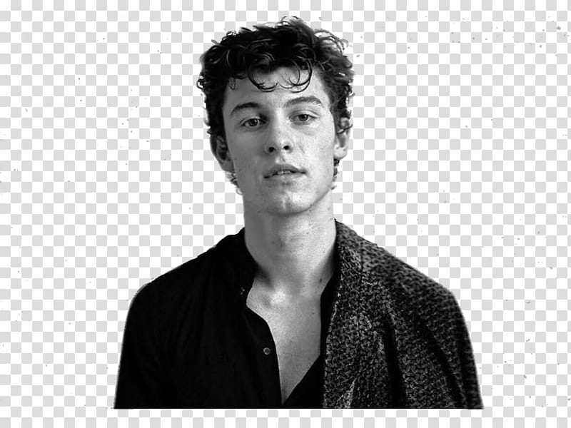 Shawn Mendes transparent background PNG clipart