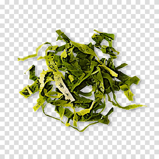 leaf vegetable food plant vegetable leaf, Vegetarian Food, Wakame, Cuisine transparent background PNG clipart