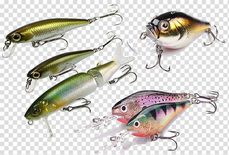 Fishing, Plug, Fishing Tackle, Angling, Online Shopping, Wholesale, Price, Bait transparent background PNG clipart