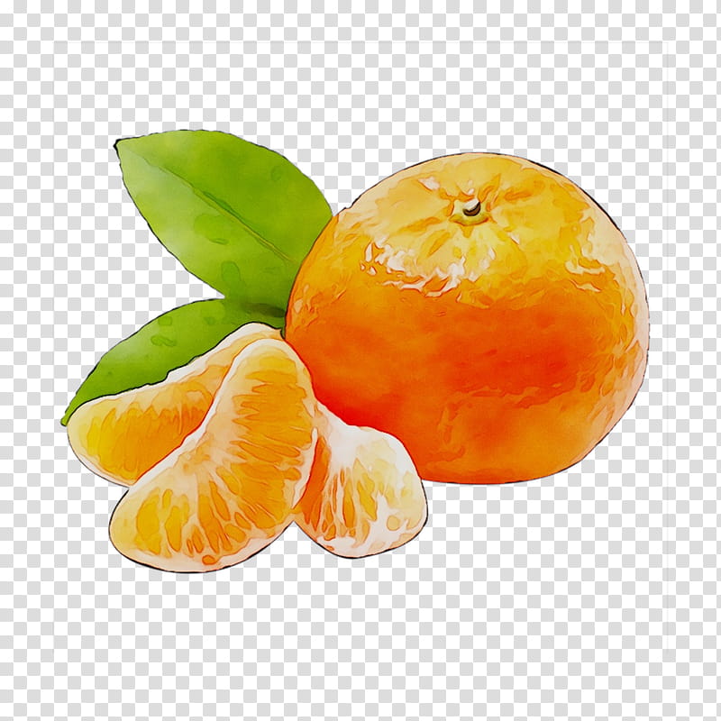 Lemon, Clementine, Mandarin Orange, Tangerine, Grapefruit, Rangpur, Tangelo, Food transparent background PNG clipart