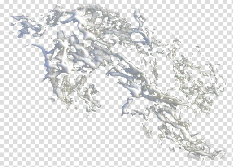 Tree Branch, Foam, Sea Foam, Drawing, Water, Line transparent background PNG clipart