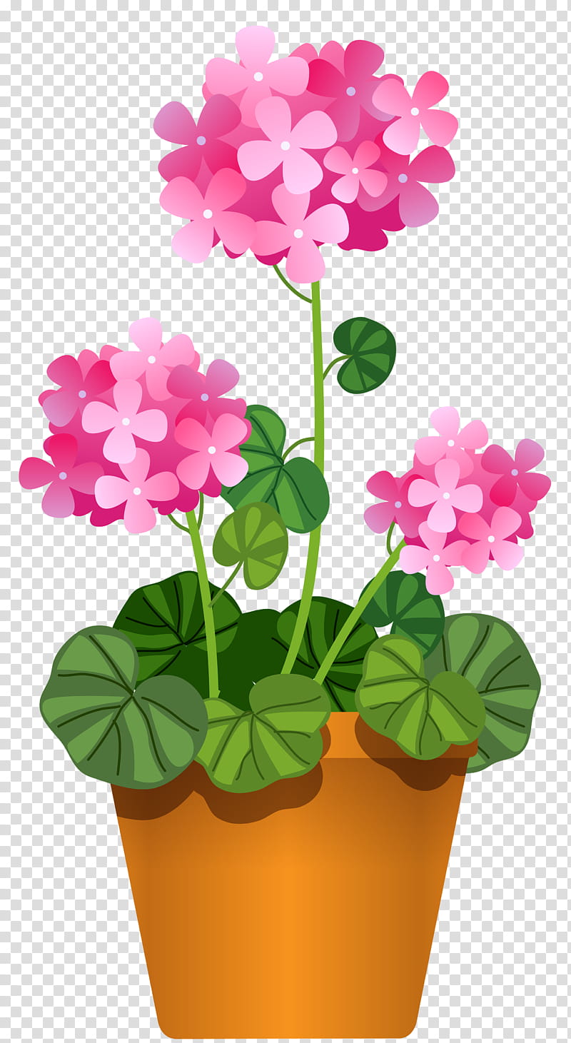 Pink Flower, Flowering Pot Plants, Transportation, Flowerpot, Floral Design, Flower Garden, Petal, Houseplant transparent background PNG clipart