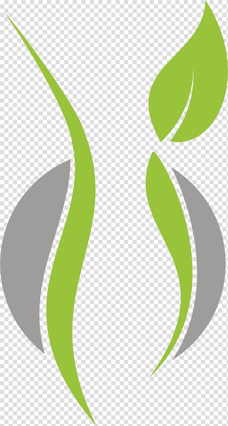 Green leaf logo template icon Royalty Free Vector Image