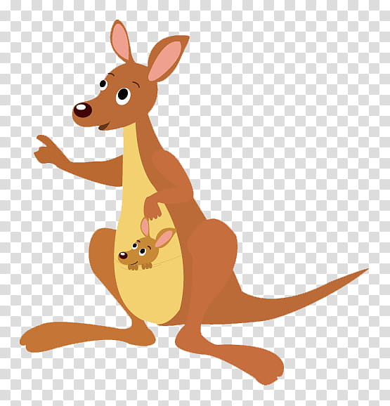 Koala, Kangaroo, Child, Boxing Kangaroo, Cuteness, Macropodidae, Red Kangaroo, Wallaby transparent background PNG clipart