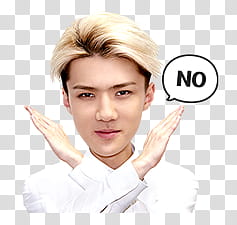 sticker EXO SEHUN Special, man's face transparent background PNG clipart