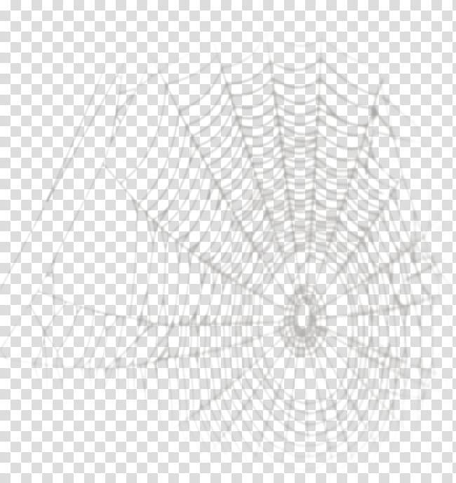 Spider Web, Drawing, Spider Silk, Line Art, Randomness, White, Slope, Diagram transparent background PNG clipart