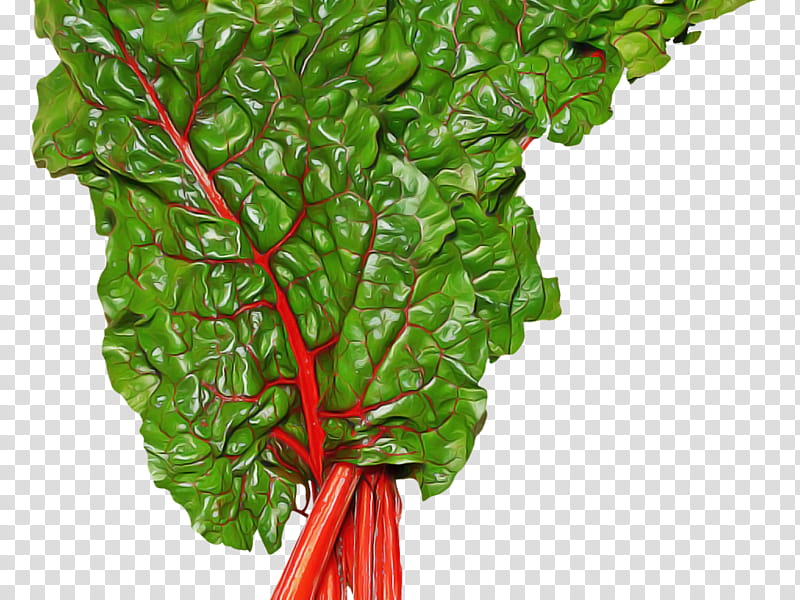 chard leaf vegetable vegetable leaf plant, Food, Flower, Plant Stem, Beetroot transparent background PNG clipart