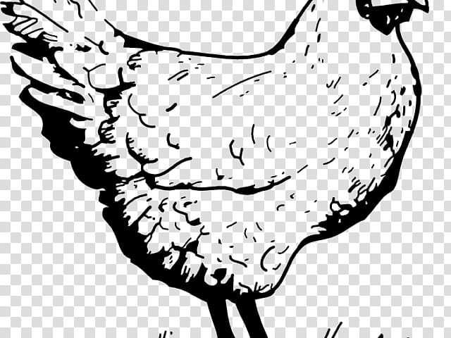 Bird Line Drawing, Leghorn Chicken, Rooster, Food, White, Beak, Line Art, Head transparent background PNG clipart