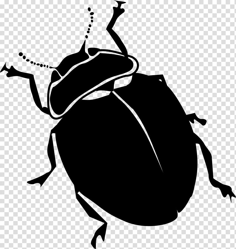 Book Black And White, Beetle, Black And White
, Ladybugs, Ladybird Beetle, Drawing, Coloring Book, Line Art transparent background PNG clipart