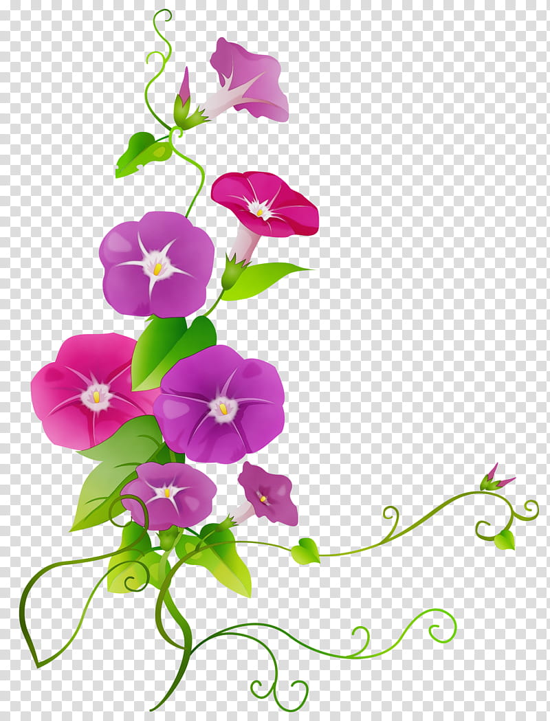 Vine, Watercolor, Paint, Wet Ink, Blue Dawn Flower, Morning Glory, White Morningglory, Drawing transparent background PNG clipart