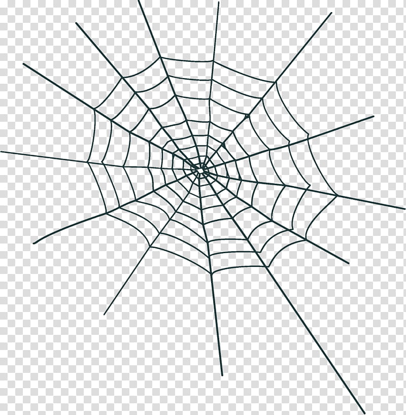 spider web halloween, Halloween , White, Line, Symmetry, Line Art, Diagram, Blackandwhite transparent background PNG clipart