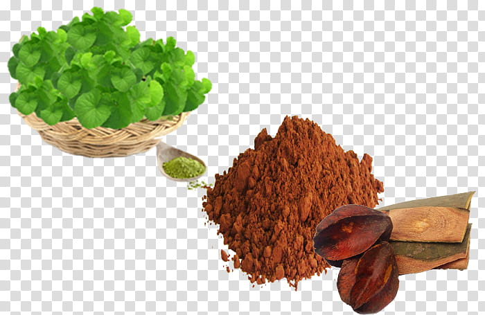 India Food, Waterhyssop, Herb, Capsule, Saravanampatti, Extract, Powder, Heartleaved Moonseed transparent background PNG clipart