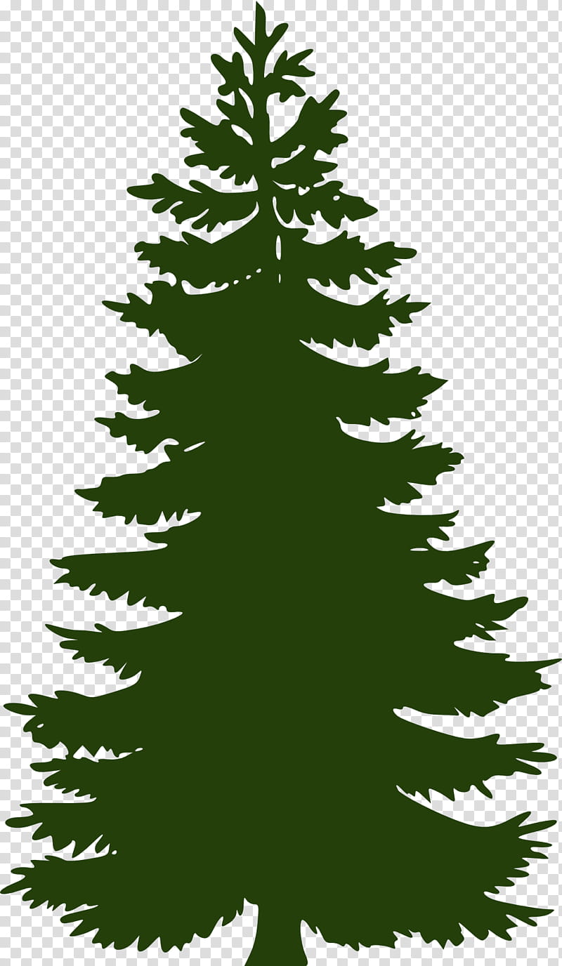 Christmas Decoration Drawing, Balsam Fir, Eddie Hupp Landscaping Lawn, Camping, Pine, Painting, Tree, Christmas Tree transparent background PNG clipart