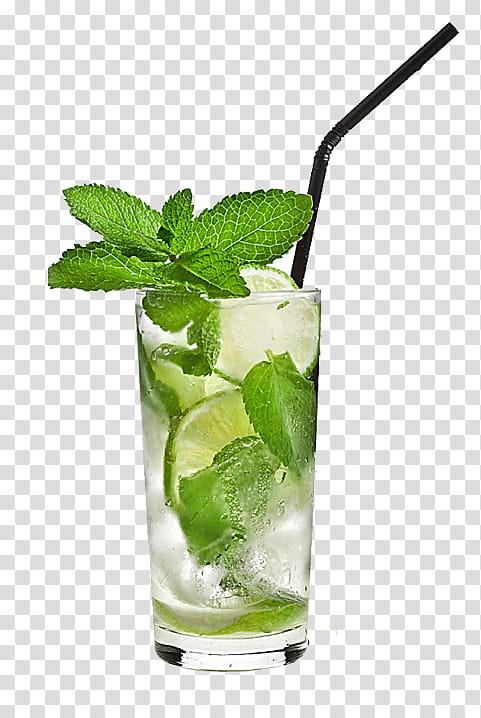 Lemon Tea, Mojito, Cocktail, Rickey, Vodka, Lemonade, Muddler, Caipirinha transparent background PNG clipart