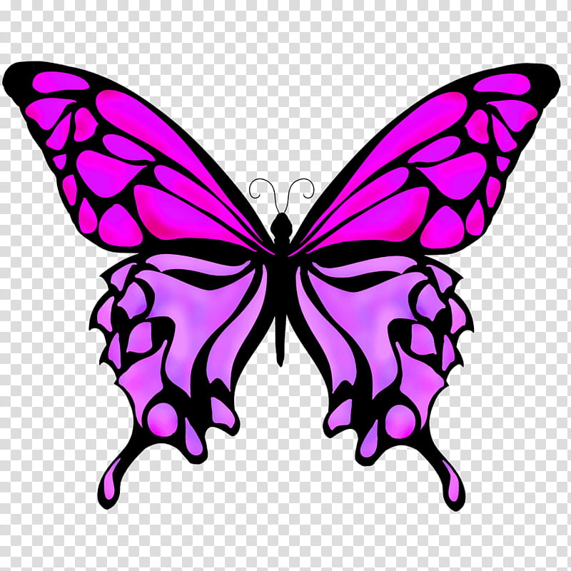 Pink Flower, Old World Swallowtail, Swallowtail Butterfly, Drawing, Monarch Butterfly, Black Swallowtail, Ulysses Butterfly, Color transparent background PNG clipart