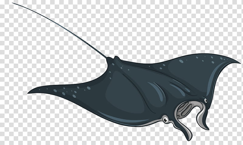manta ray stingray rays and skates skate fish, Bat transparent background PNG clipart