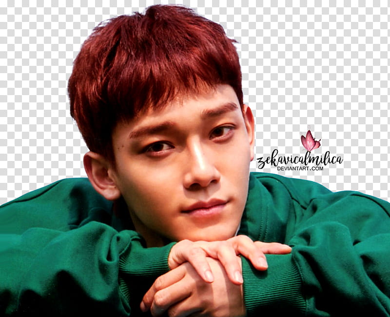 EXO CBX Chen Blooming Days, man in green sweatshirt transparent background PNG clipart