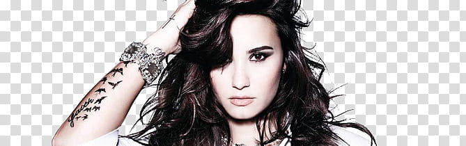 Demi Lovato Paket transparent background PNG clipart