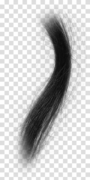 Basic Hair, black hair extension transparent background PNG