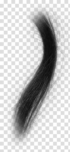 Hair, black hair transparent background PNG clipart