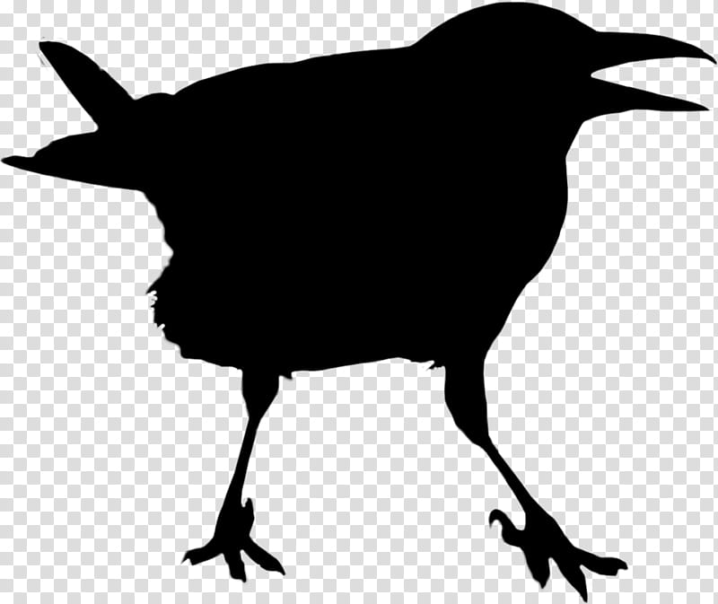 Bird Silhouette, American Crow, Common Raven, Beak, Fish Crow, Crowlike Bird, Songbird, Perching Bird transparent background PNG clipart